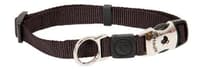 Dog Collars & Leashes - Collars